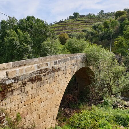 Ponte Românica