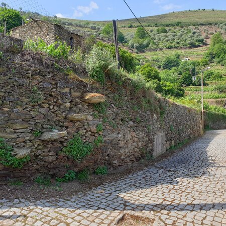 Santo Aleixo