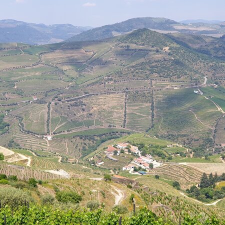 Vale do Rio Torto