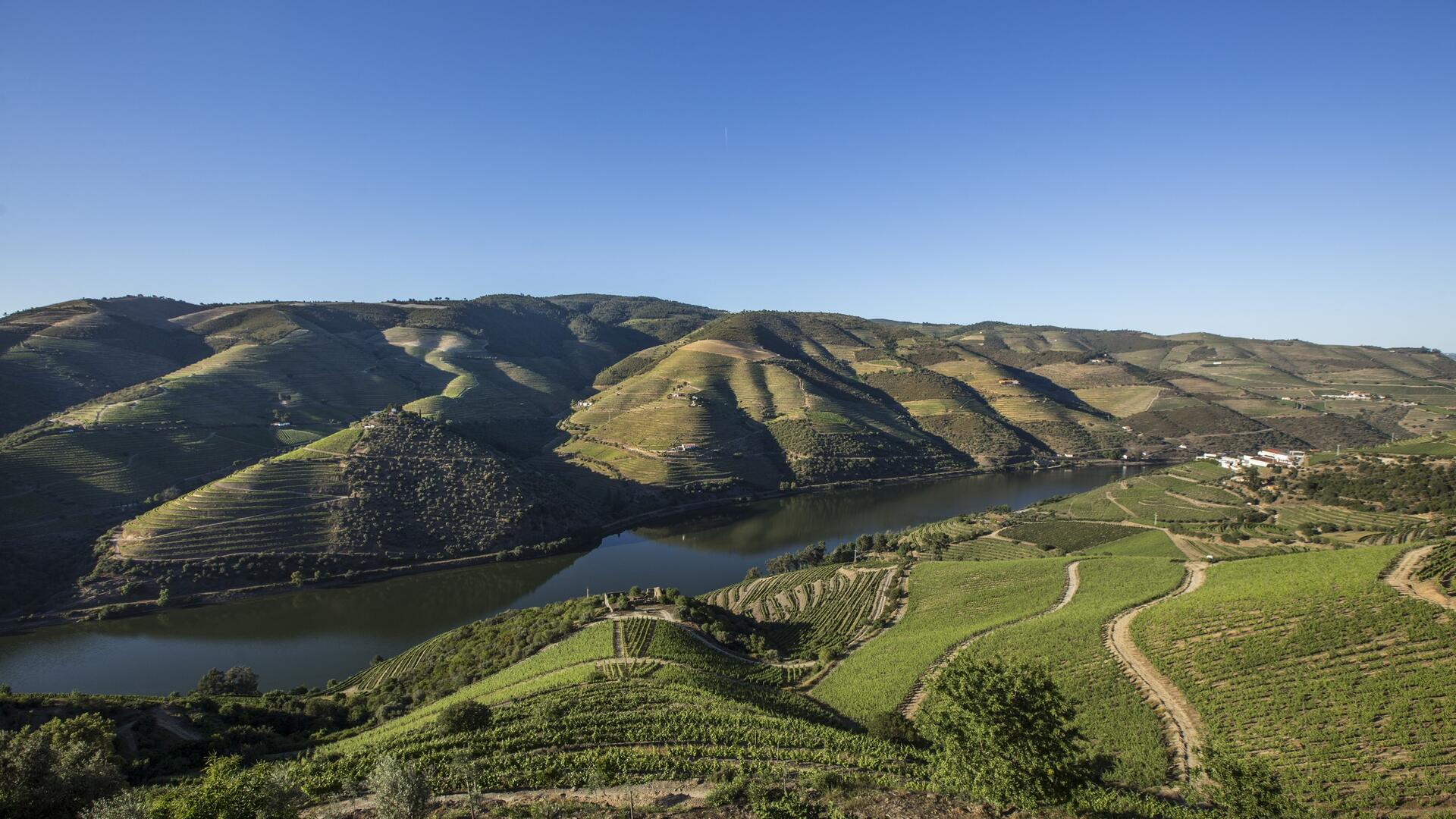 paisagem_do_douro_tabuaco