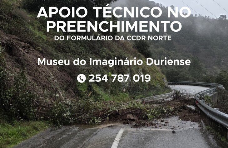 imagem_declaracao_prejuizo