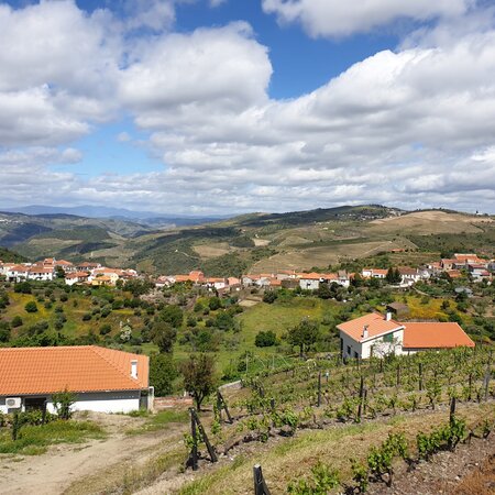 Pereiro