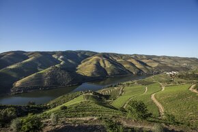 Paisagem do Douro_Tabuaço