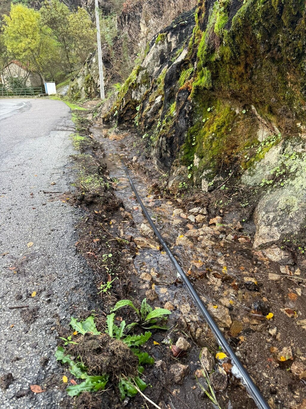 583293977_1273427334828748_1021952766676939443_n