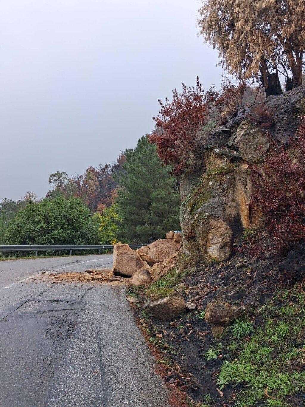 581829971_1274360928068722_1801192264328410384_n