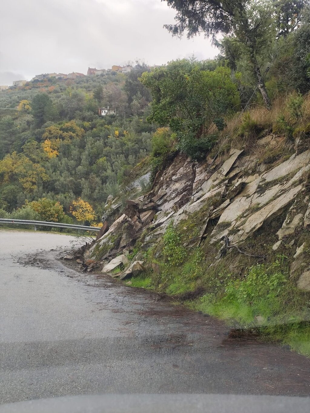 584491540_1274361634735318_8287037917698291014_n