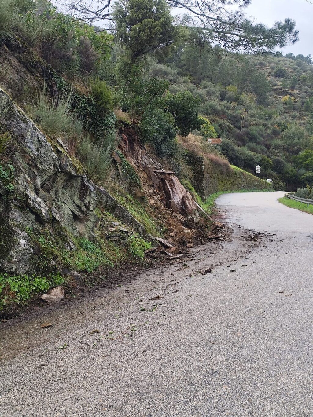 584646443_1274361601401988_8757386032936704067_n