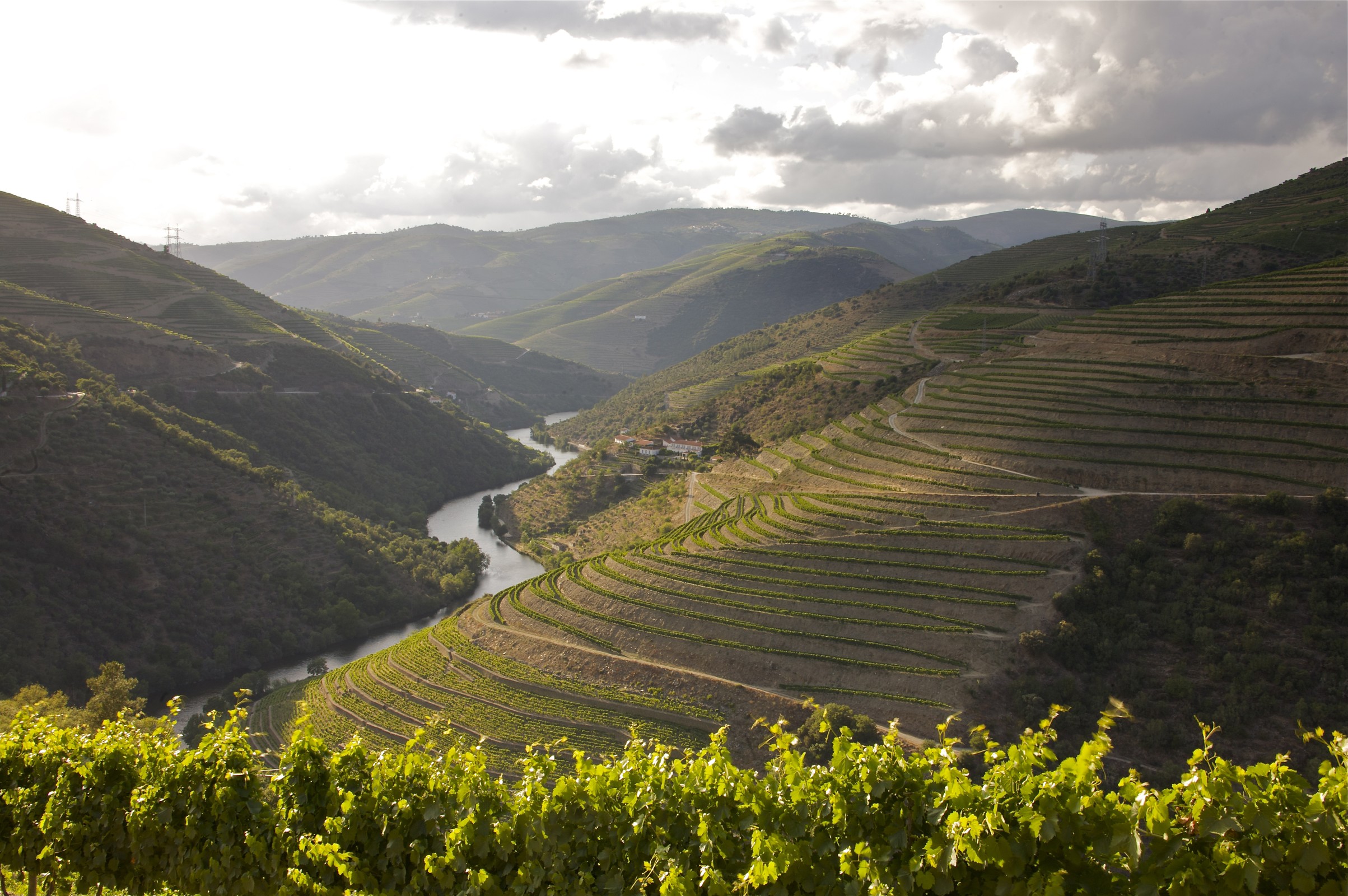 fonseca_quinta_do_panascal