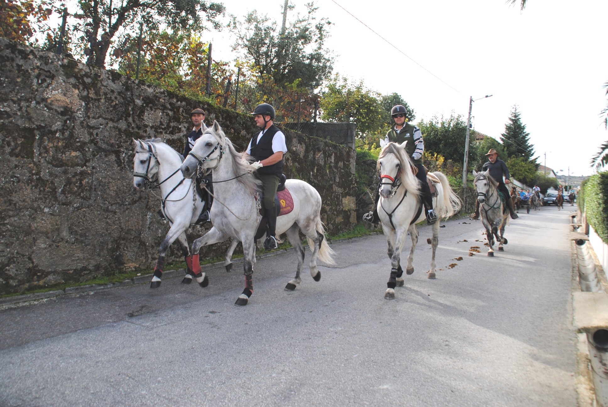 passeio_equestre_barcos