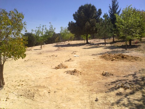 Construção do parque de merendas no Sabroso - ANTES