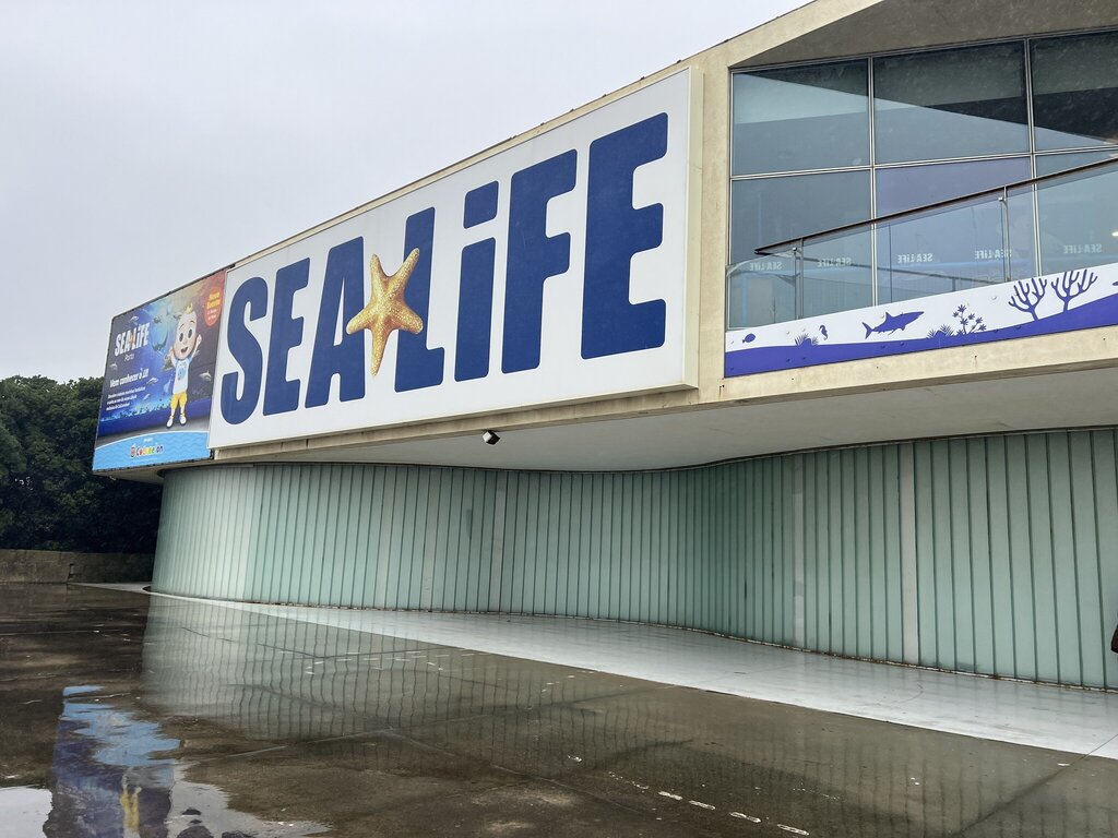 VISITA AO SEALIFE
