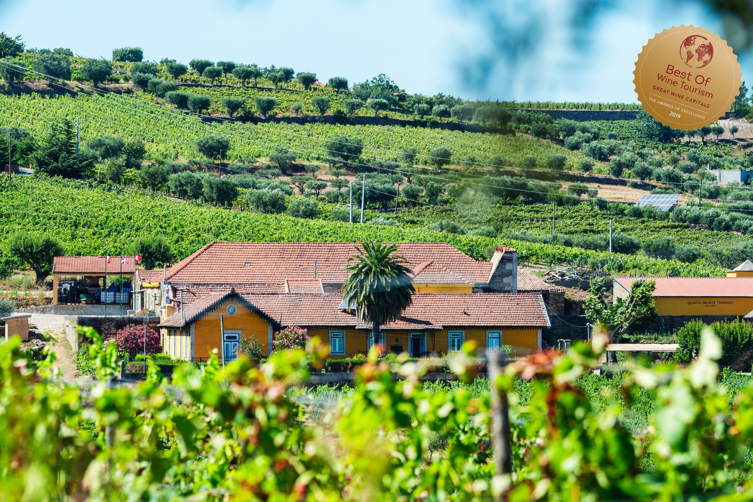 Quinta do Monte Travesso - Country Houses & Winery