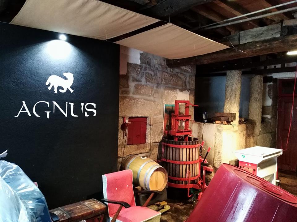 Agnus Vinhos