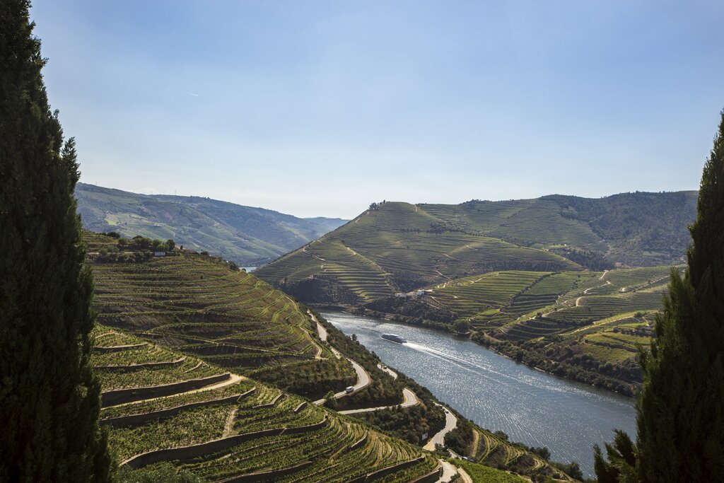 Vinhas e Socalcos do Douro