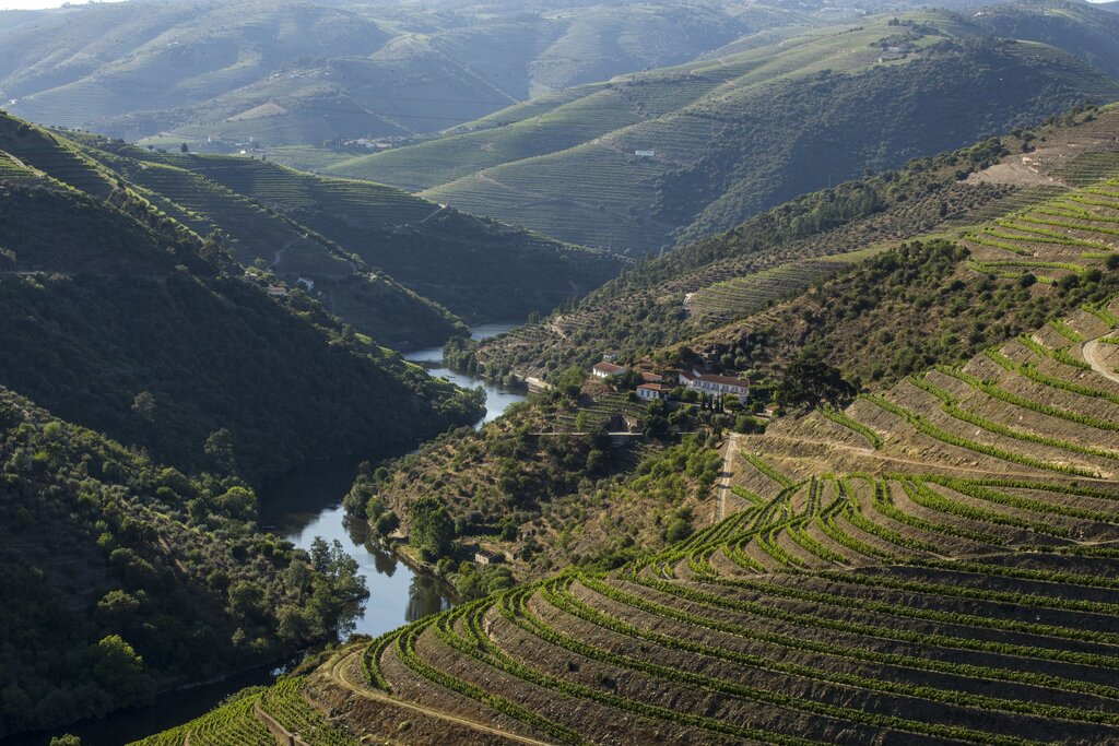 Vale do Rio Távora